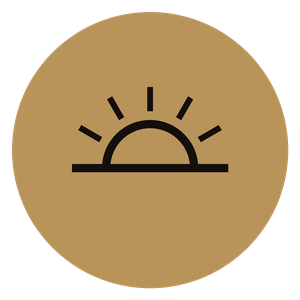 icon_awakening