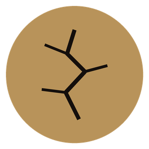 icon_fractures